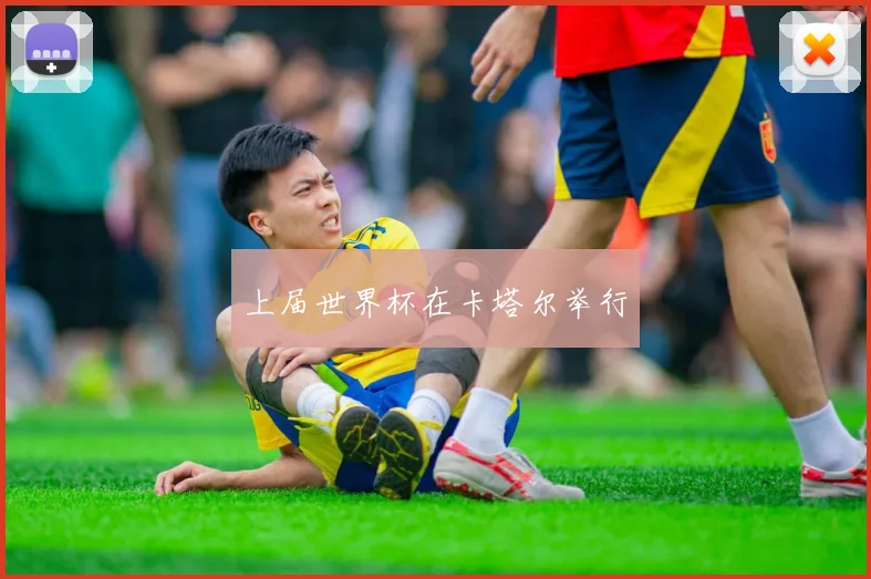 上届世界杯在卡塔尔举行