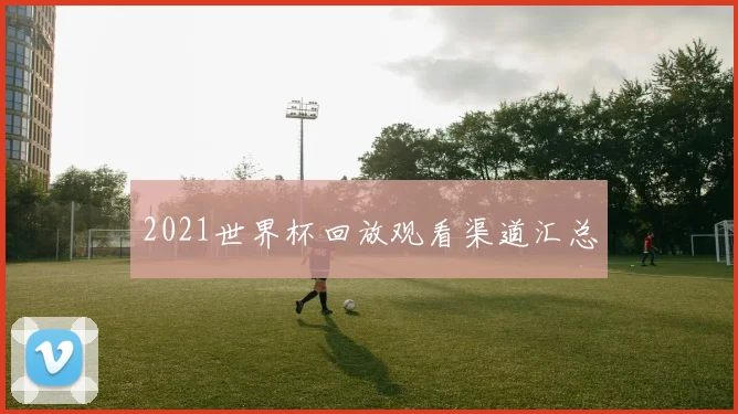2021世界杯回放观看渠道汇总