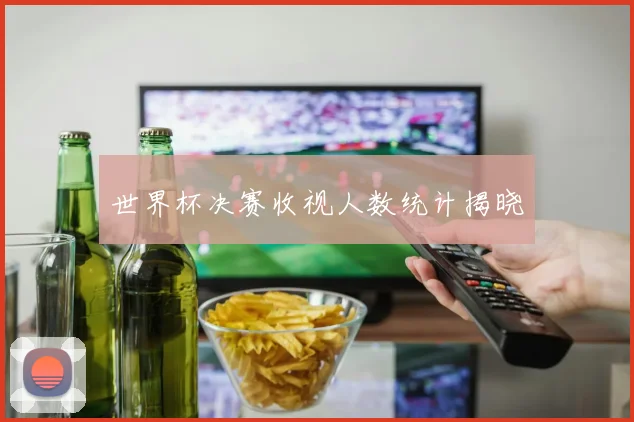 世界杯决赛收视人数统计揭晓