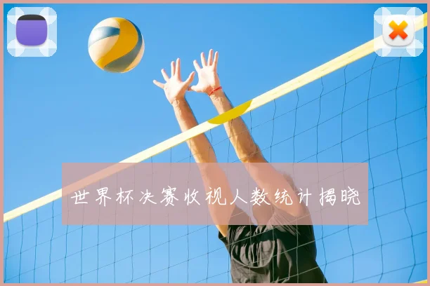 世界杯决赛收视人数统计揭晓