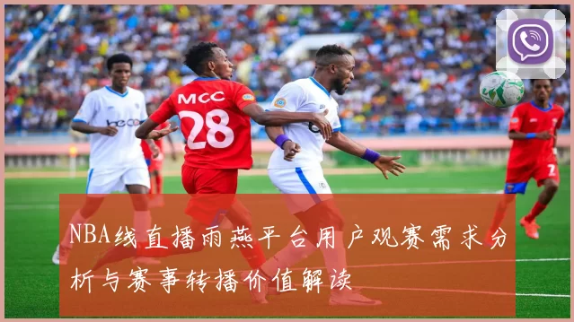 NBA线直播雨燕平台用户观赛需求分析与赛事转播价值解读