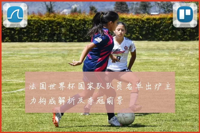 法国世界杯国家队队员名单出炉主力构成解析及夺冠前景