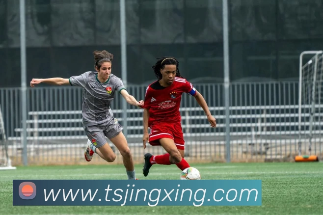 米兰体育官网登陆APP 封面图